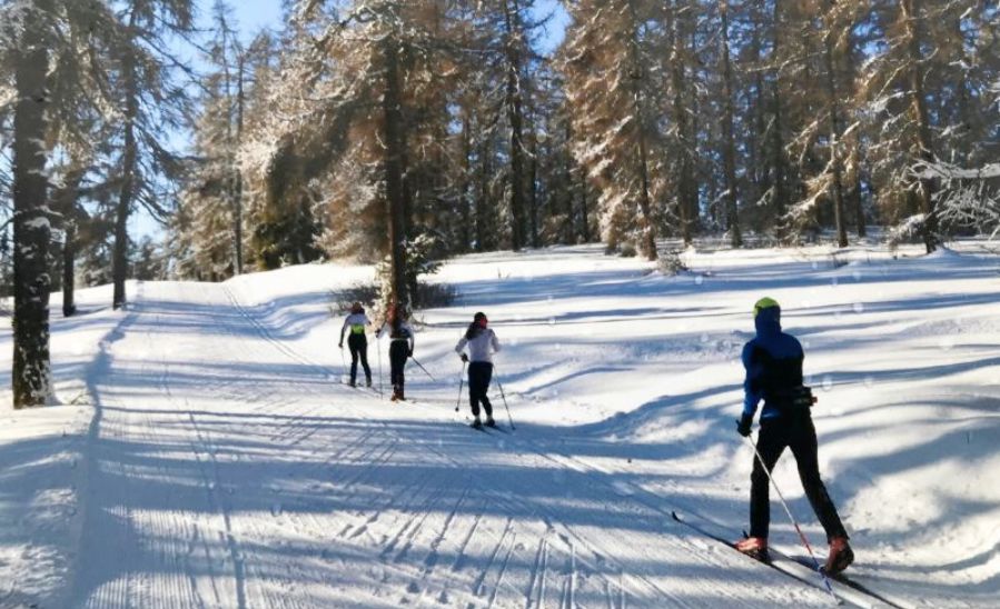 Areál bežeckých tratí Krúžok Areál bežeckých tratí Krúžok