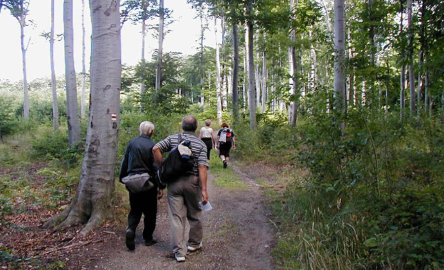 Turistické chodníky Turistické chodníky